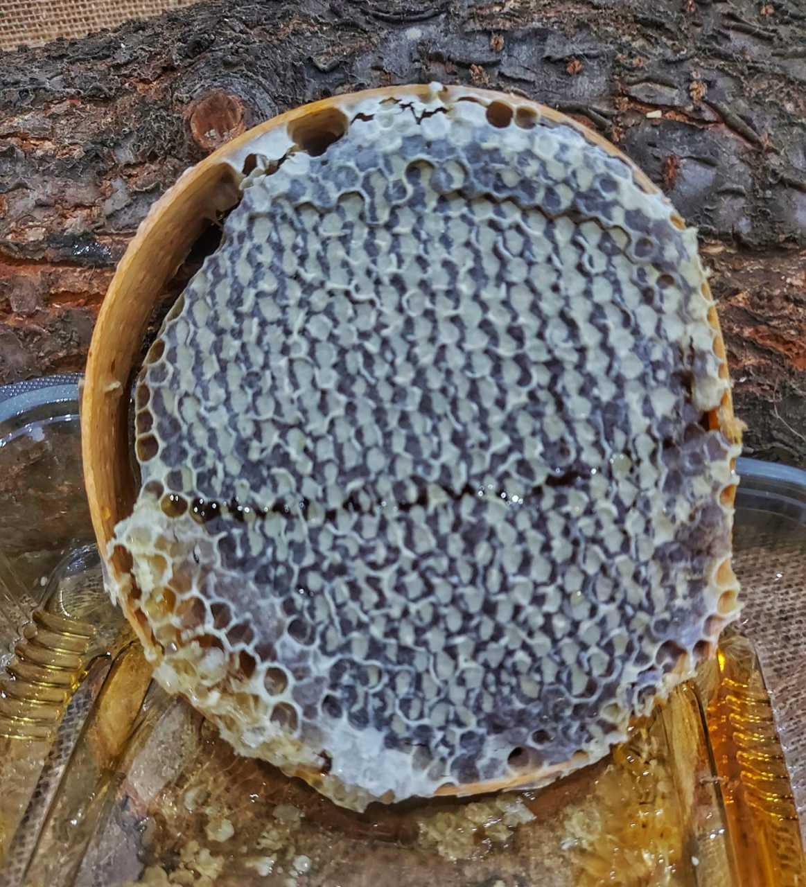 900 g Karakovan Kasnak Balı